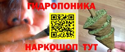 индика Малоярославец