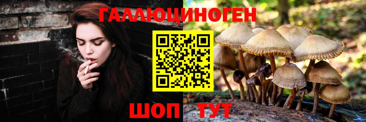 Шатура  Псилоцибиновые грибы Magic Shrooms  закладки  Вход с VPN 